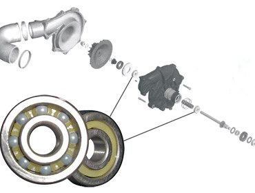 >Riva bearings for Sea Doo