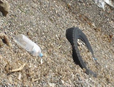 >Παγκόσμια ημέρα περιβάλλοντος