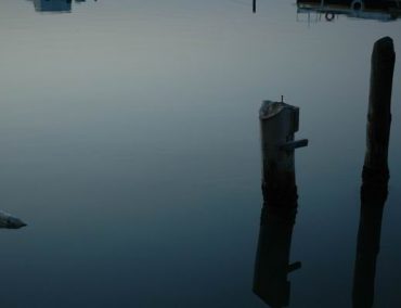 SOS: Κραυγή σωτηρίας από τις θάλασσές μας