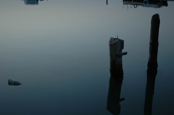 SOS: Κραυγή σωτηρίας από τις θάλασσές μας