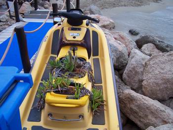 >Νοικιάρικο με 1000ώρες