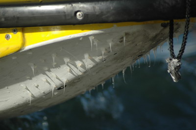 >Για καλύτερη πρόσφυση