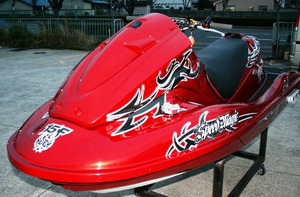 >Πονηρό STX-15F από την SE