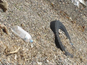 >Παγκόσμια ημέρα προστασίας του περιβάλλοντος