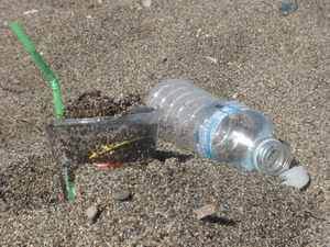 >Οικολογική συνείδηση