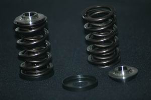 >R&D Dual Valve Spring kit for FZR/SHO