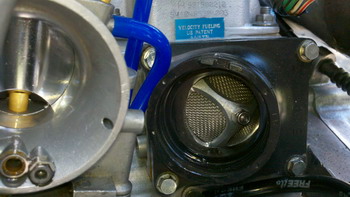 >Radial reeds, ξανά στο προσκήνιο