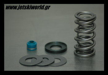 >R&D spring valves for 300X