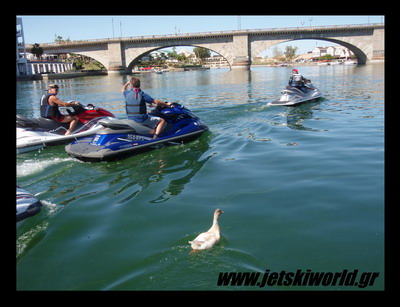 >Traveling in Lake Havasu