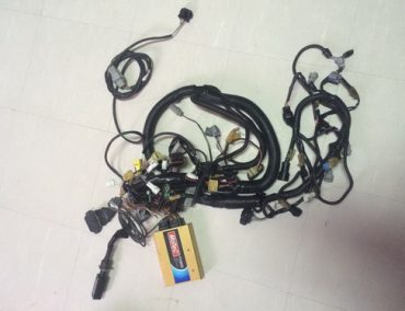 >Motec wire harness for FZR/FX Yamaha