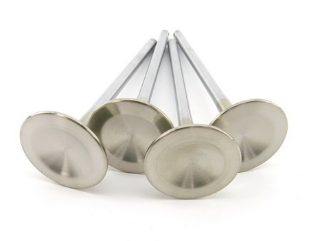 >Extreme Duty Exhaust Valves